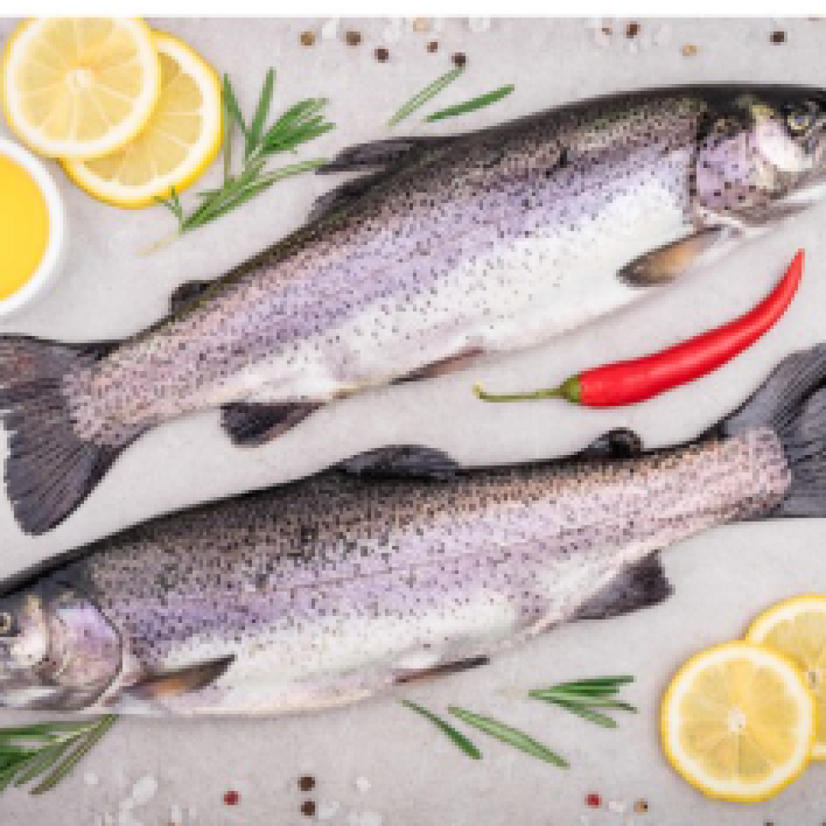 Trout Fish